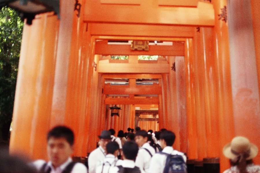 The torii gates in Kyoto