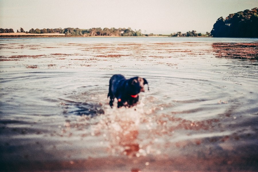 A tokyo street surounded by high rise buildings 
