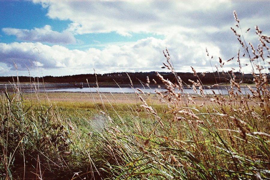 Resevoir at daylight