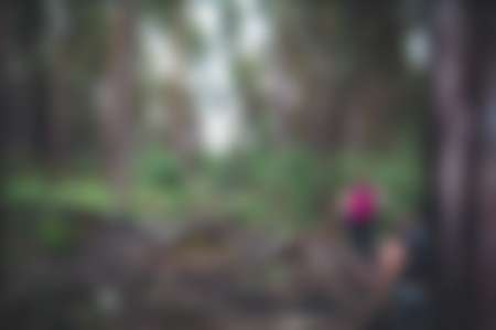 Two hikers walking through a forest
